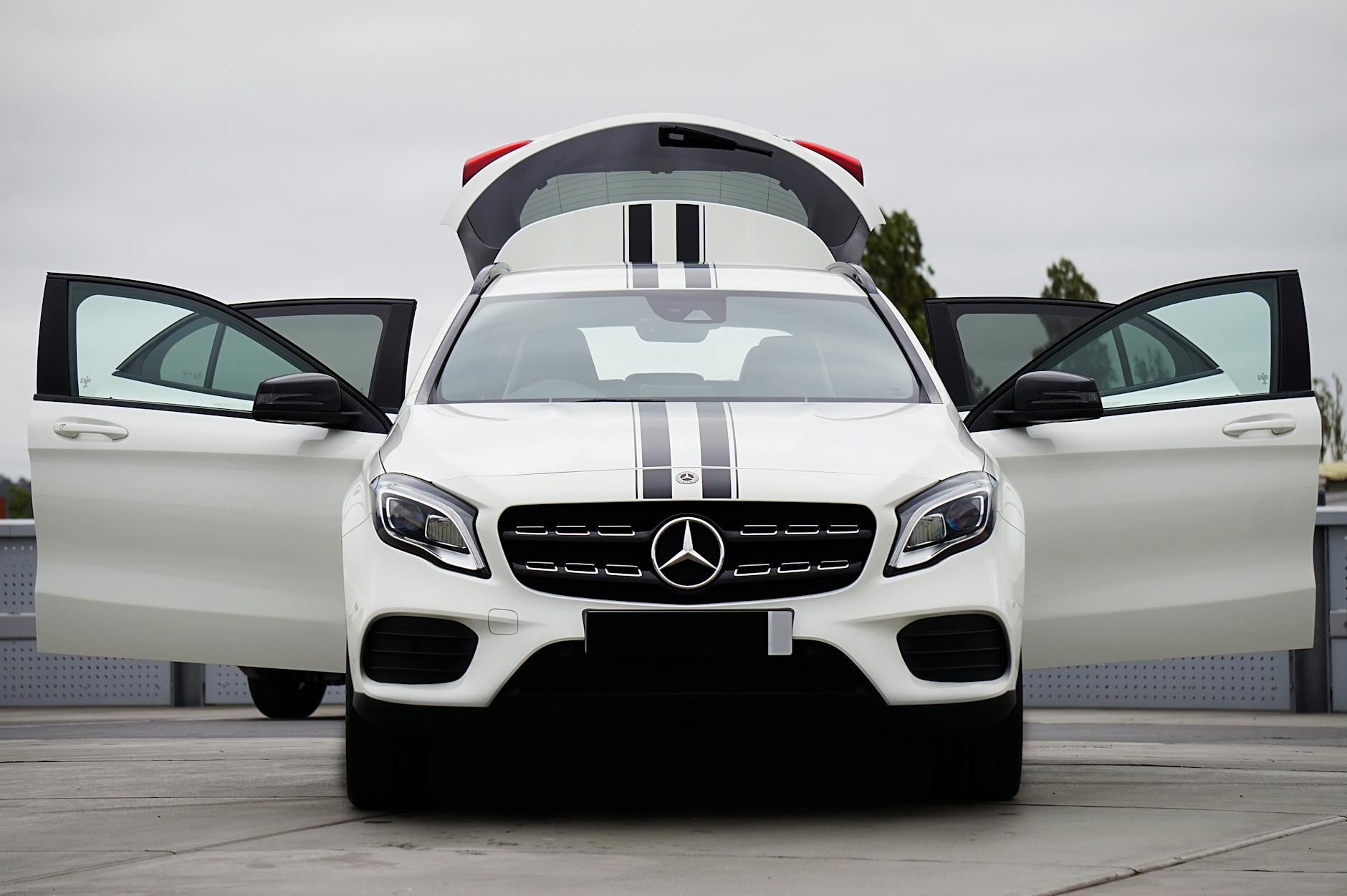 Mercedes Rüstung Detailansicht: Mercedes Rüstung