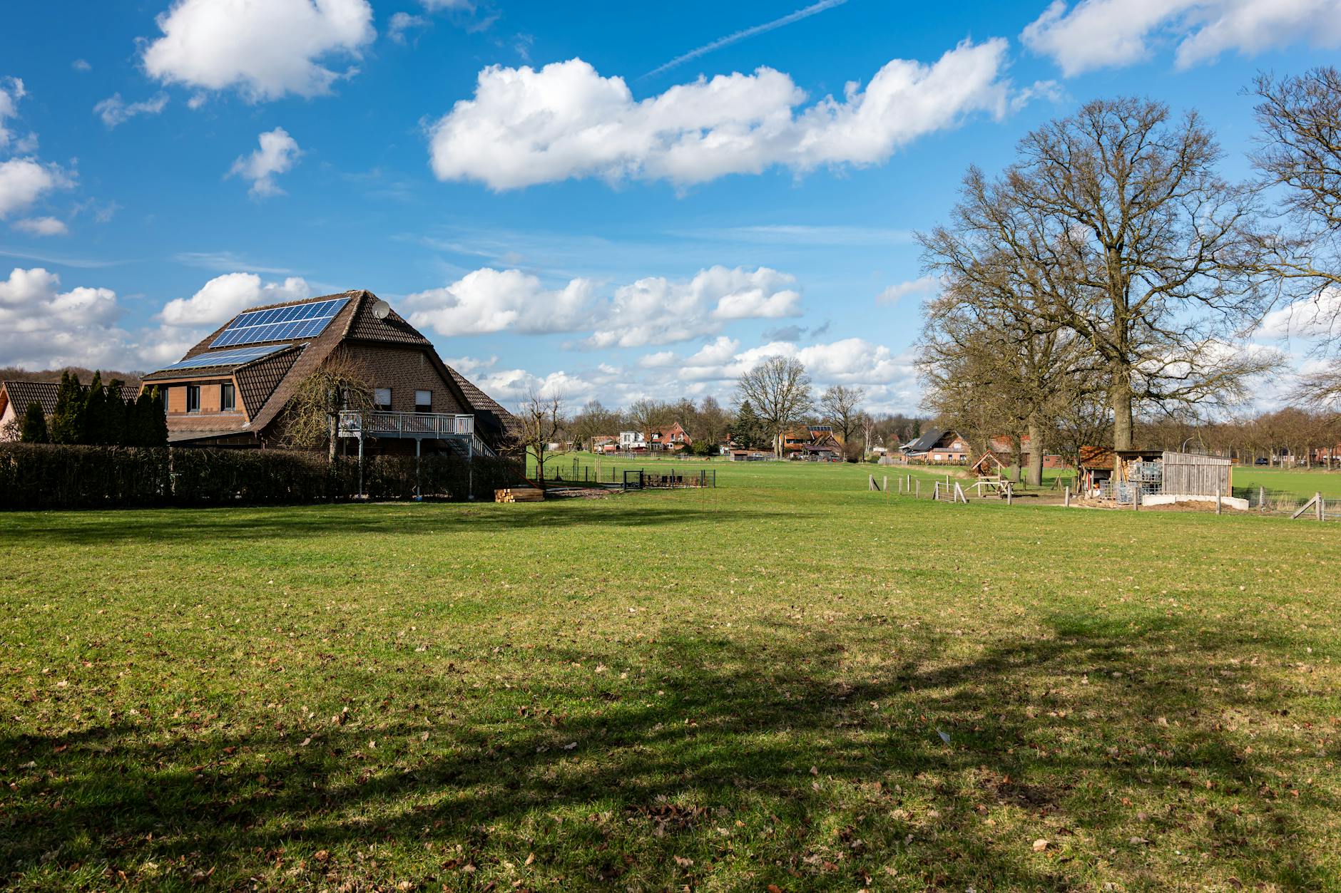 Detailansicht: Rasen Verbrannt