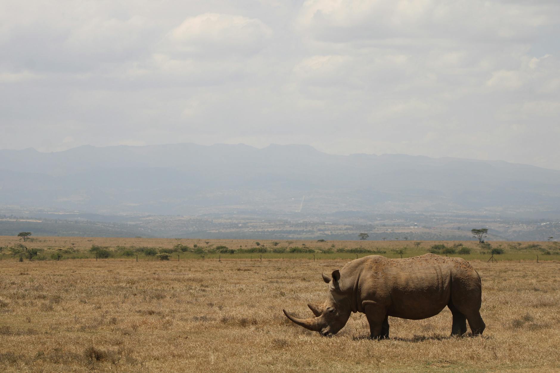Schulbrand Kenia Detailansicht: Schulbrand Kenia