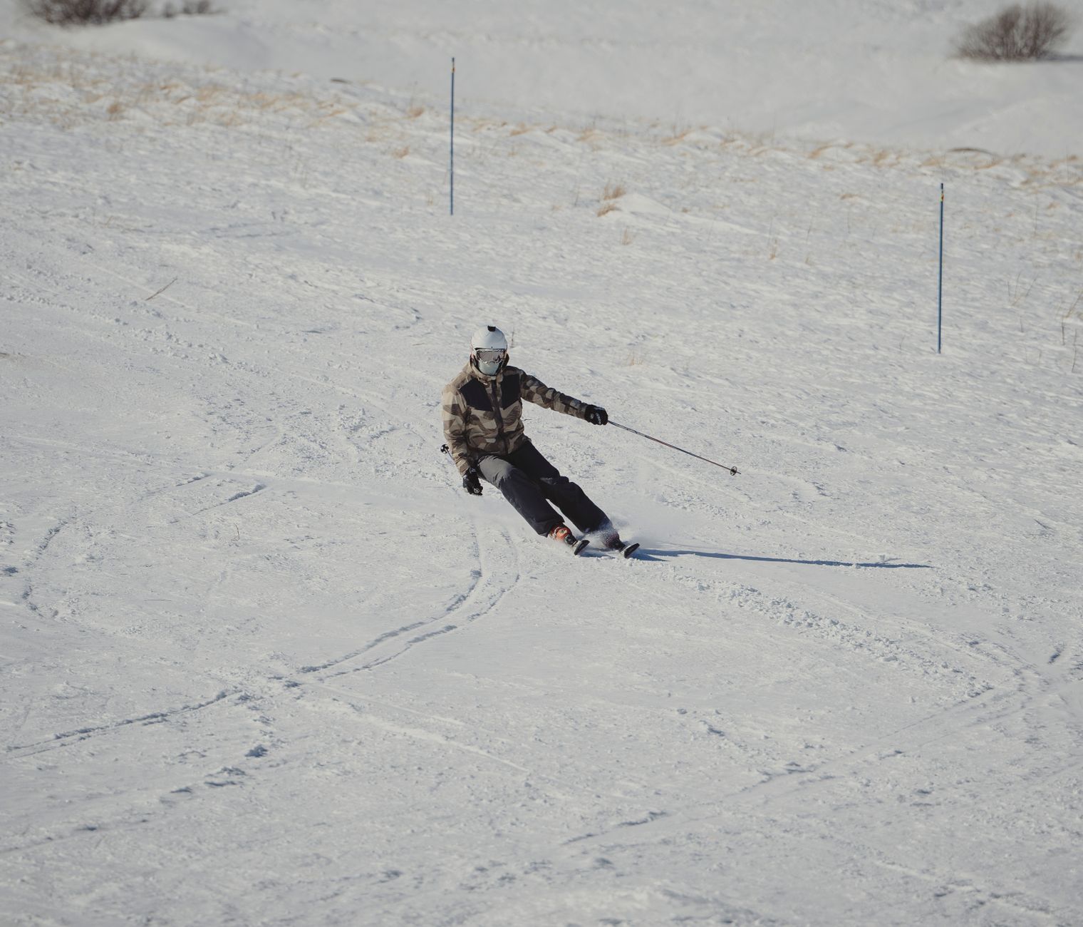 Illustration zu Slalom
