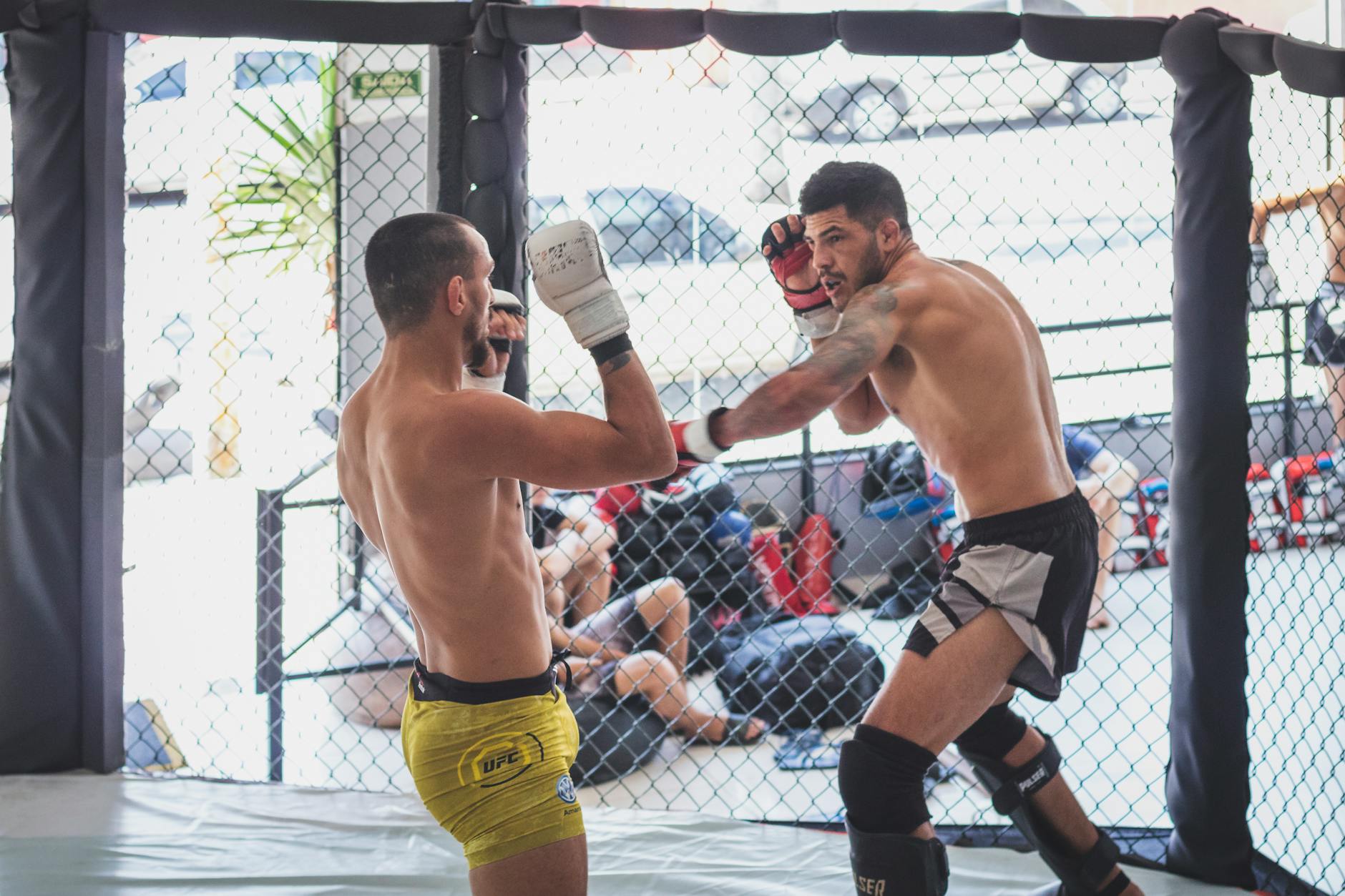 Symbolbild zum Thema Ufc 328