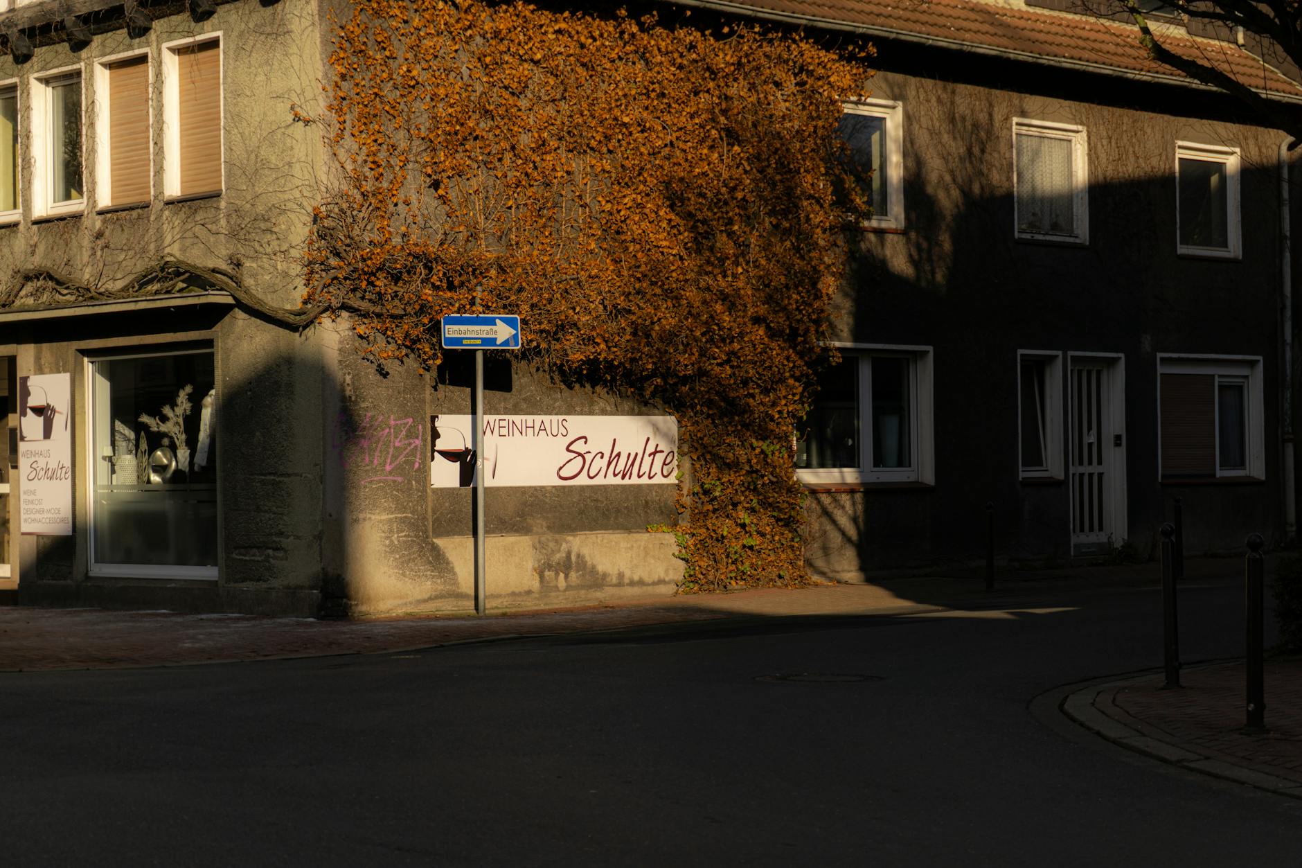 Detailansicht: Wein